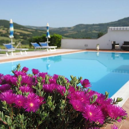 Agriturismo Il Cavallino Saturnia Semproniano Luaran gambar